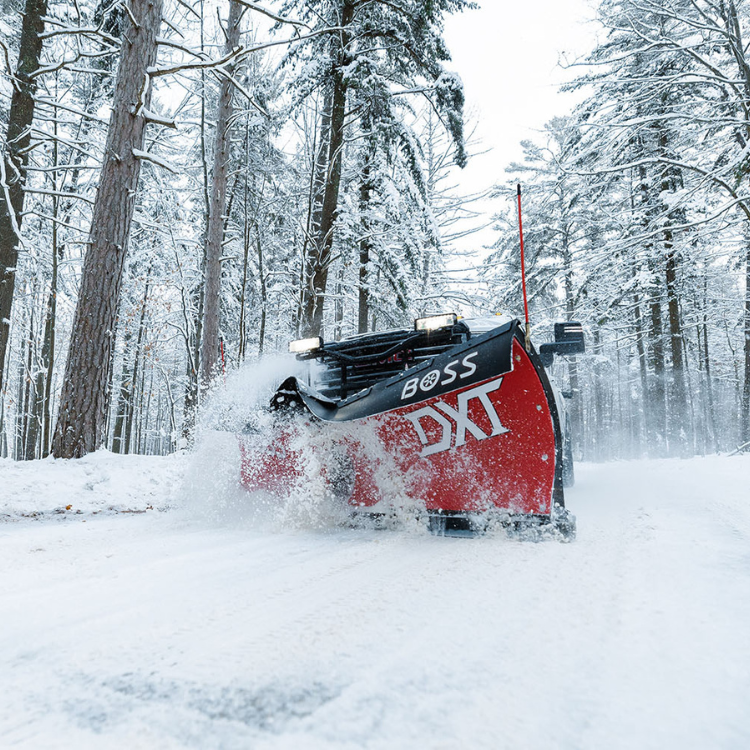 Lawn & Snow Services in Wyanet, IL