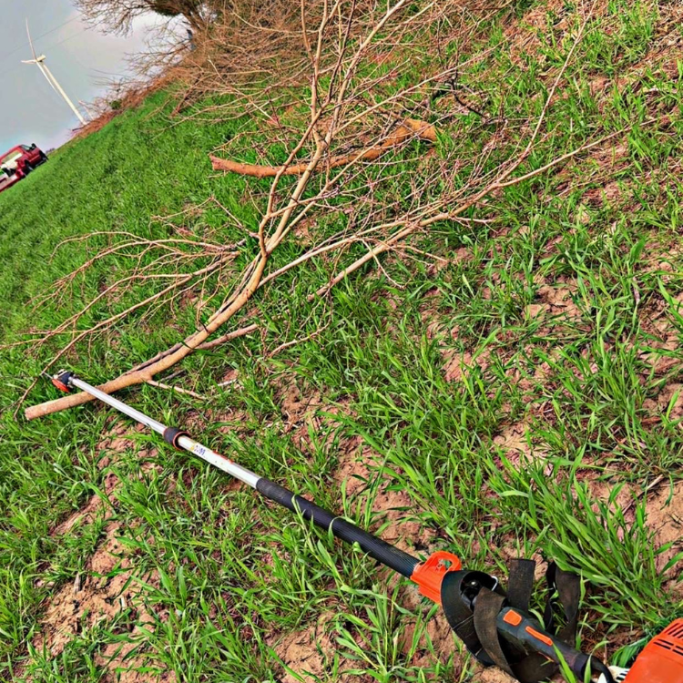 Lawn & Snow Services in Wyanet, IL