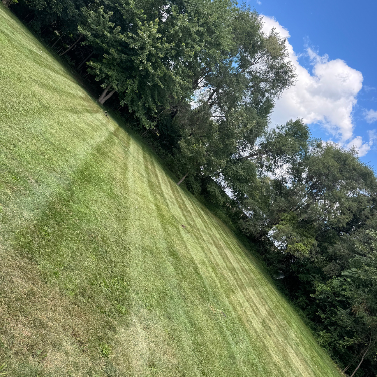 Lawn & Snow Services in Wyanet, IL