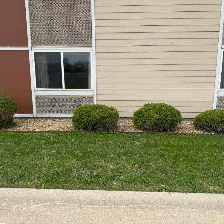 Lawn & Snow Services in Wyanet, IL