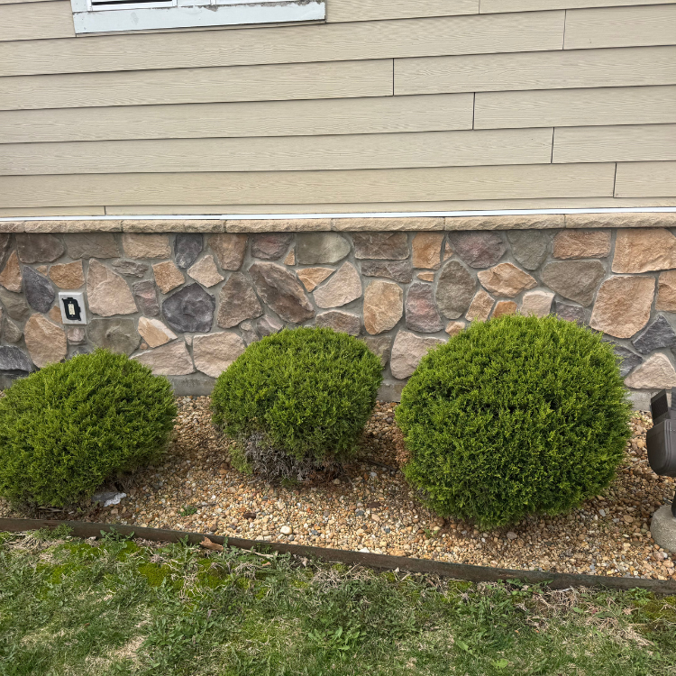 Lawn & Snow Services in Wyanet, IL