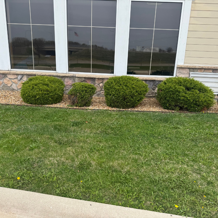 Lawn & Snow Services in Wyanet, IL