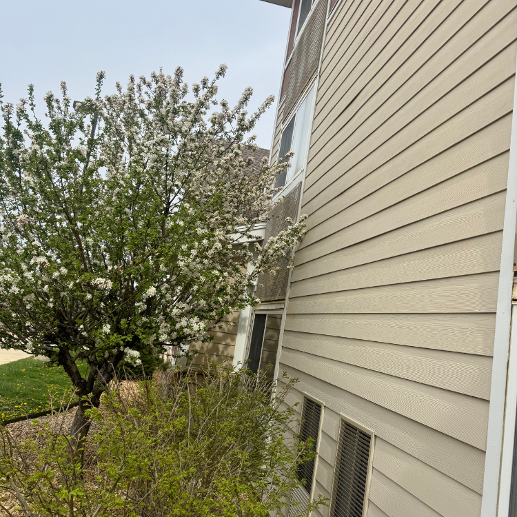 Lawn & Snow Services in Wyanet, IL