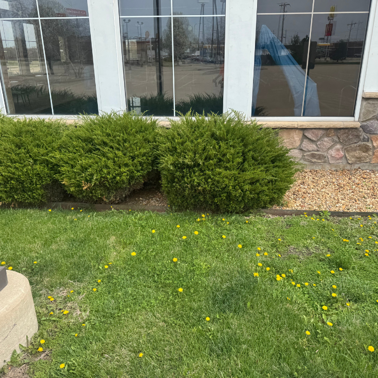 Lawn & Snow Services in Wyanet, IL