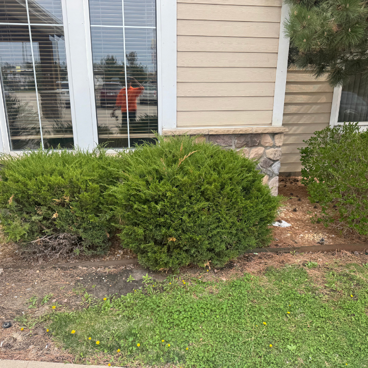 Lawn & Snow Services in Wyanet, IL