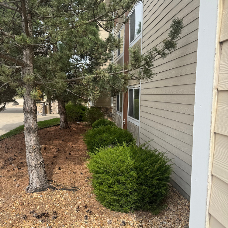 Lawn & Snow Services in Wyanet, IL