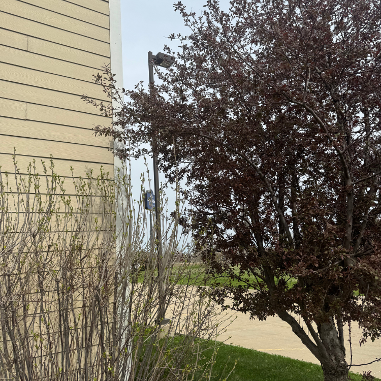 Lawn & Snow Services in Wyanet, IL