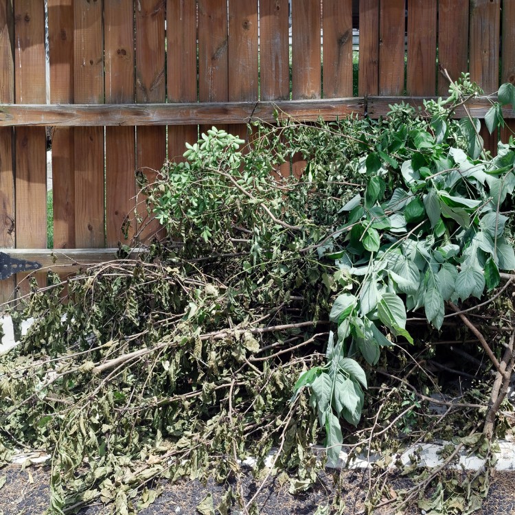 Lawn & Snow Services in Wyanet, IL