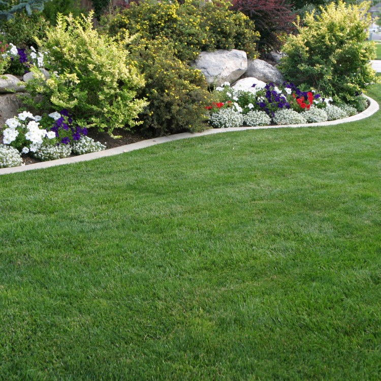 Lawn & Snow Services in Wyanet, IL